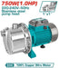 TWPS375062 Pompe À Eau 1HP 750W 220V Performante Fiable - TOTAL TOOLS TUNISIA Site officiel | Station d'outils
